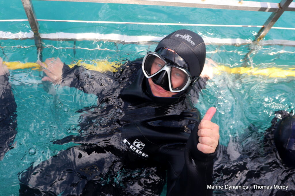 South Africa, Shark cage diving, Gansbaai