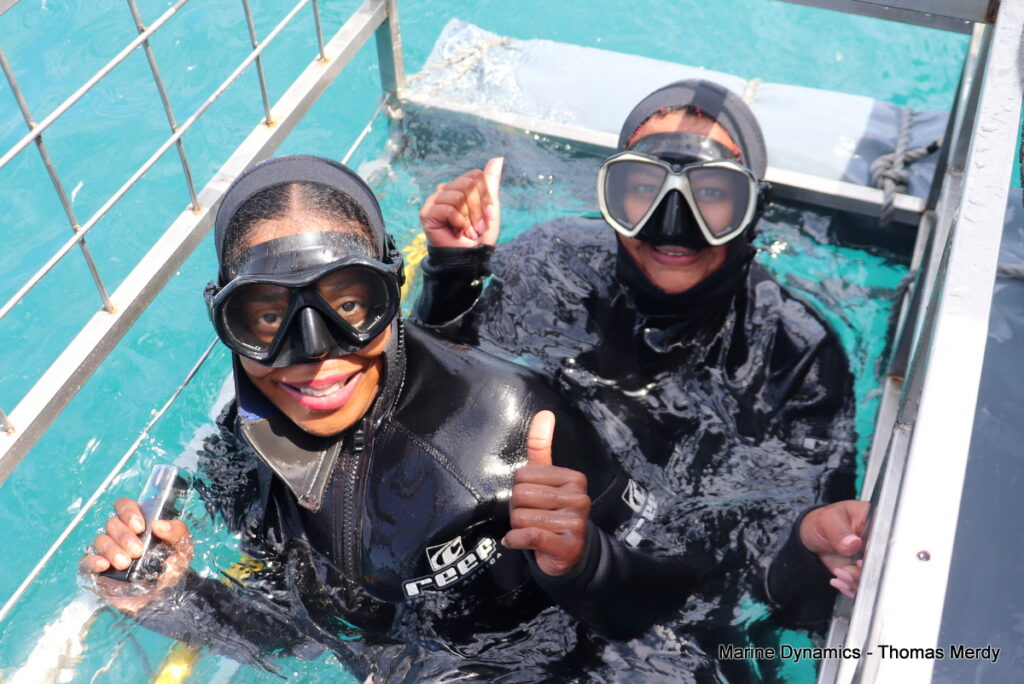 South Africa, Shark cage diving, Gansbaai
