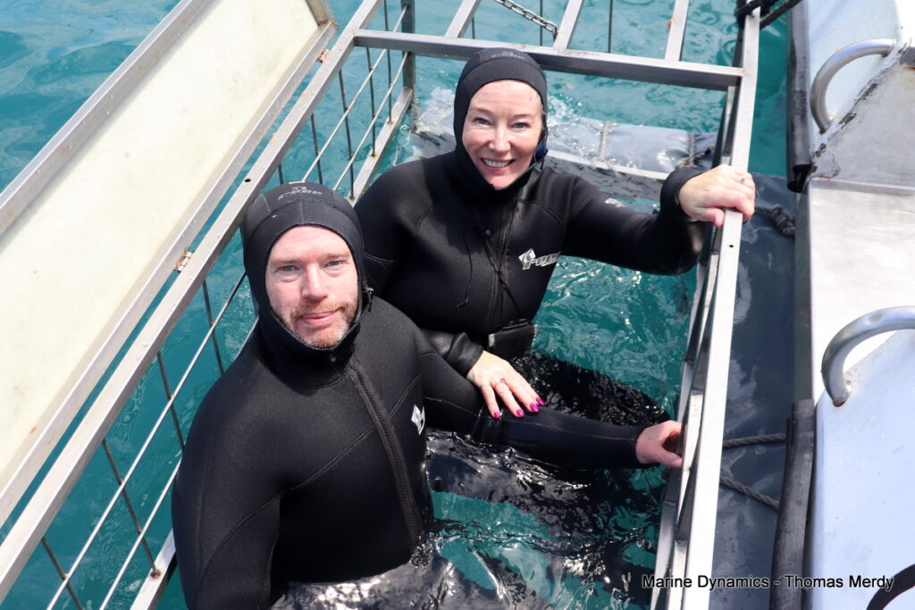 South Africa, Shark cage diving, Gansbaai