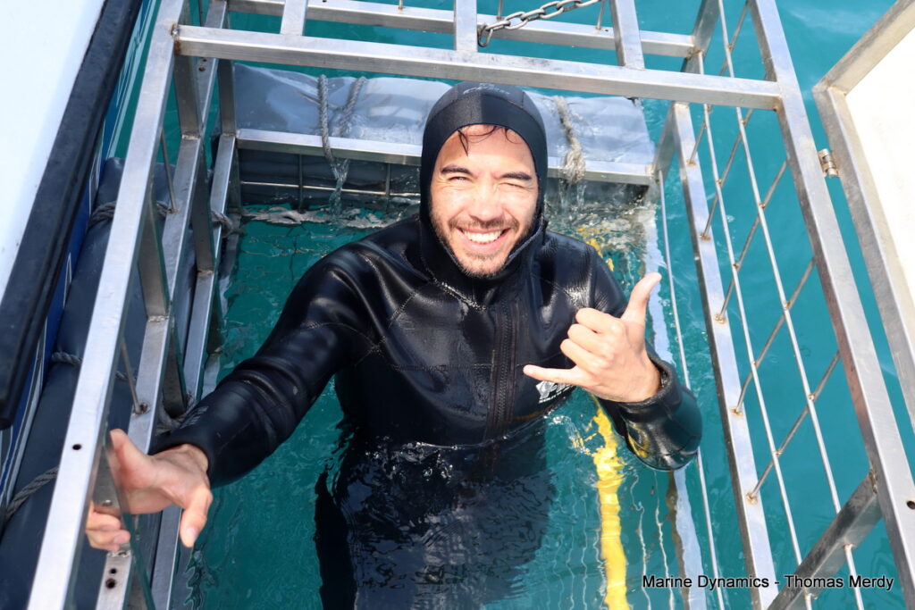 South Africa, Shark cage diving, Gansbaai