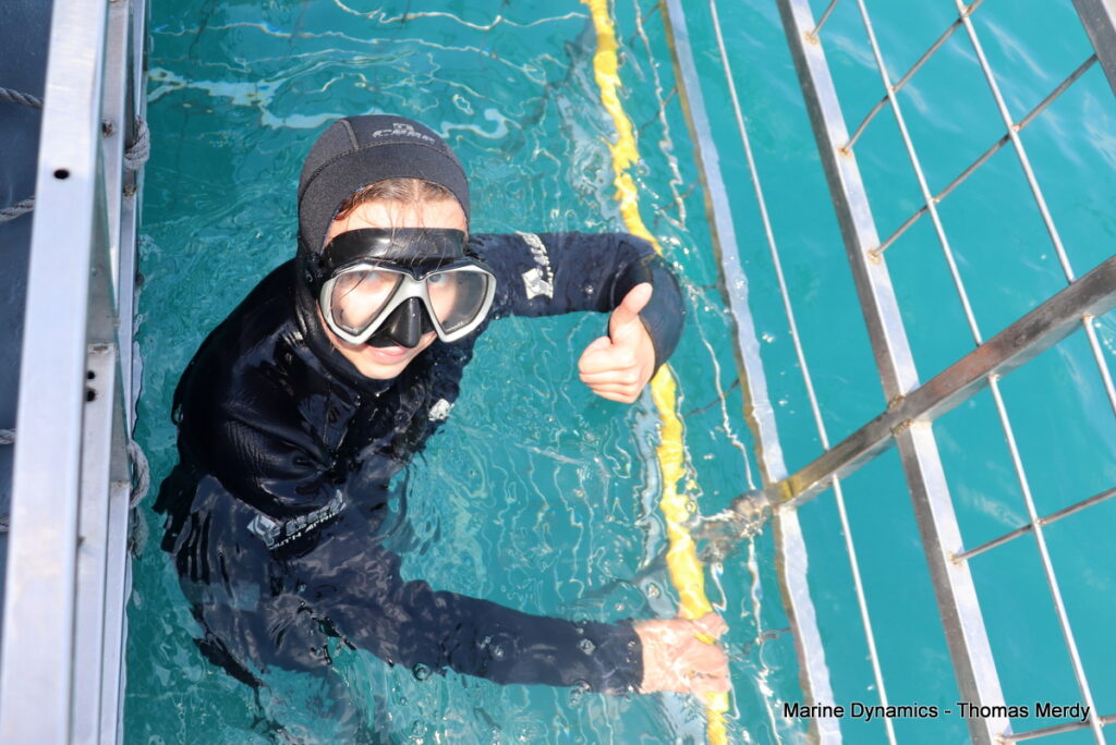 South Africa, Shark cage diving, Gansbaai