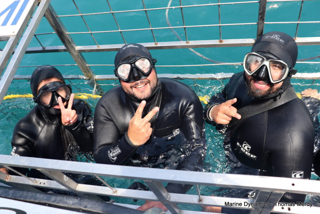 South Africa, Shark cage diving, Gansbaai