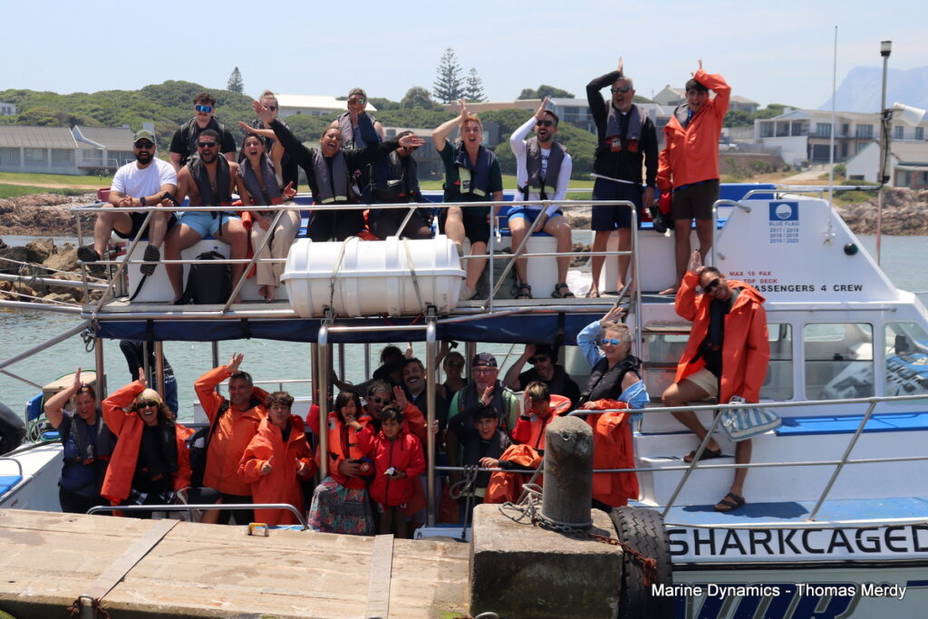 South Africa, Shark cage diving, Gansbaai