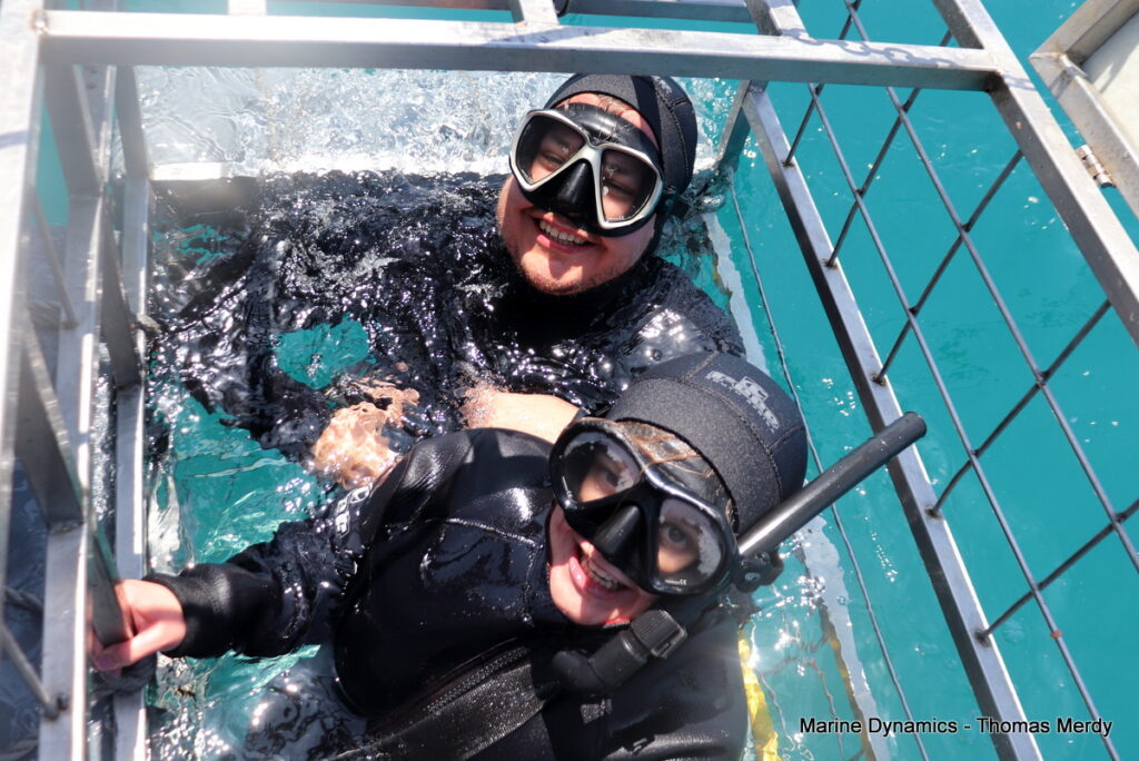 Shark cage diving, South Africa, Gansbaai