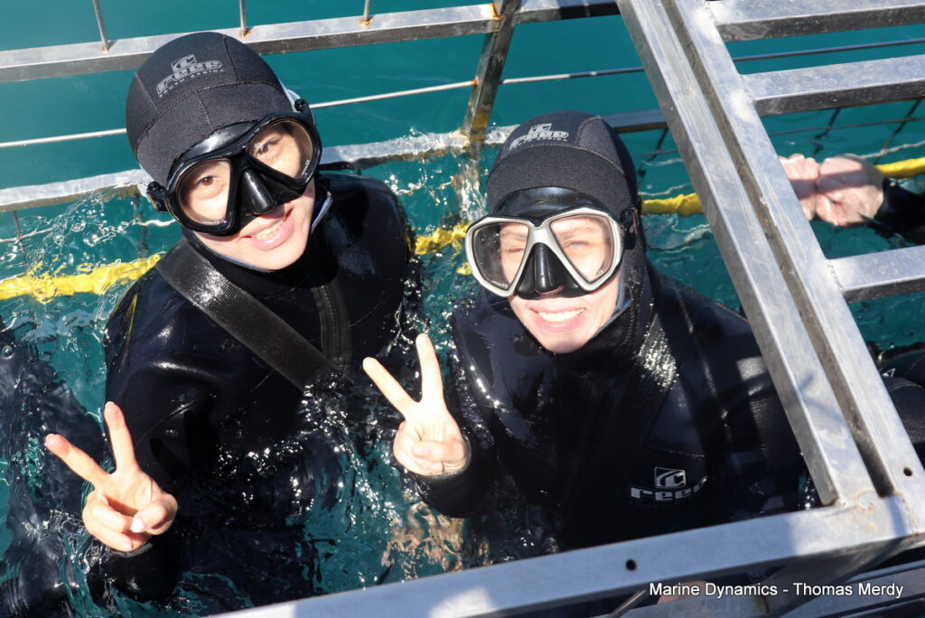 Shark cage diving, South Africa, Gansbaai