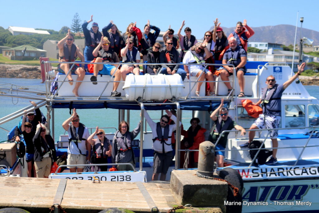 Shark cage diving, South Africa, Gansbaai
