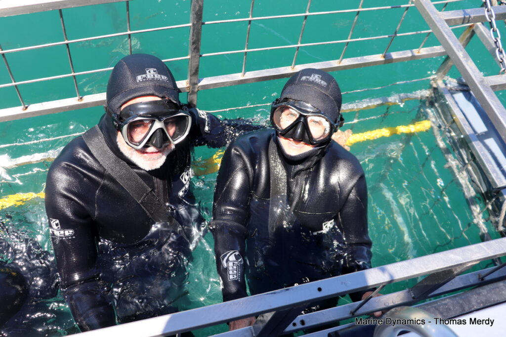 Shark cage diving, South Africa, Gansbaai