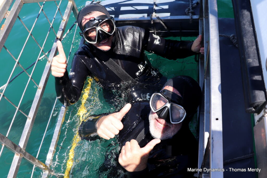 Shark cage diving, South Africa, Gansbaai