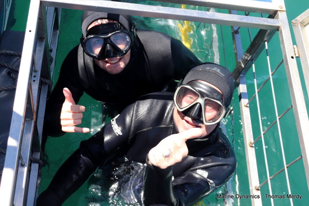 Shark cage diving, South Africa, Gansbaai