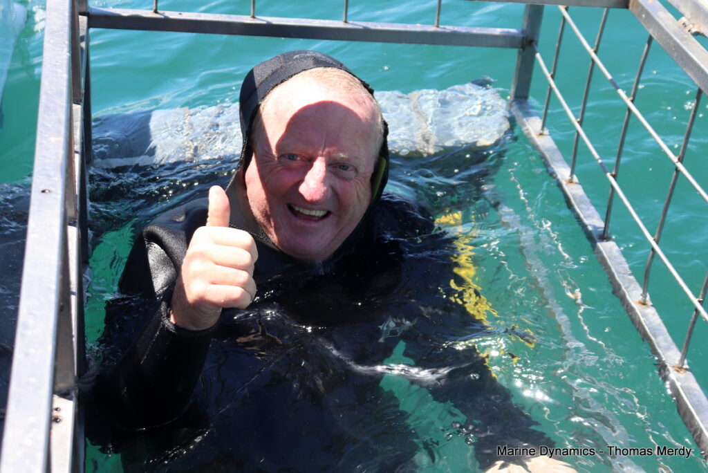 Shark cage diving, South Africa, Gansbaai