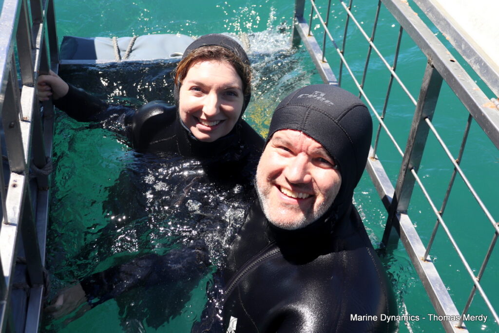 Shark cage diving, South Africa, Gansbaai