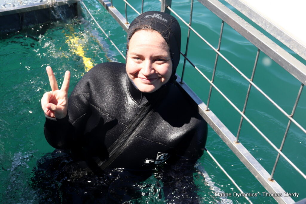 Shark cage diving, South Africa, Gansbaai