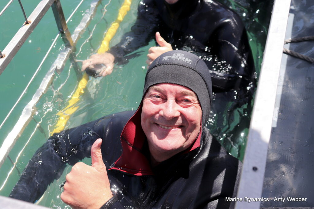 Shark cage diving, Gansbaai, South Africa