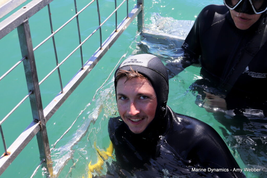 Shark cage diving, Gansbaai, South Africa