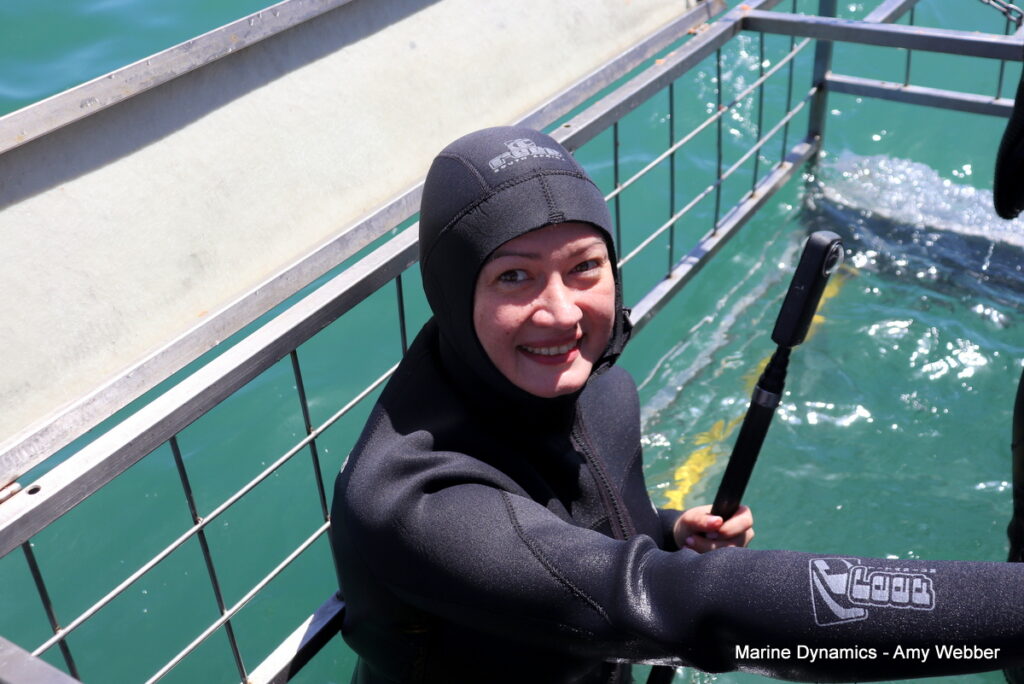 Shark cage diving, Gansbaai, South Africa