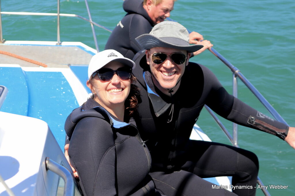 Shark cage diving, Gansbaai, South Africa