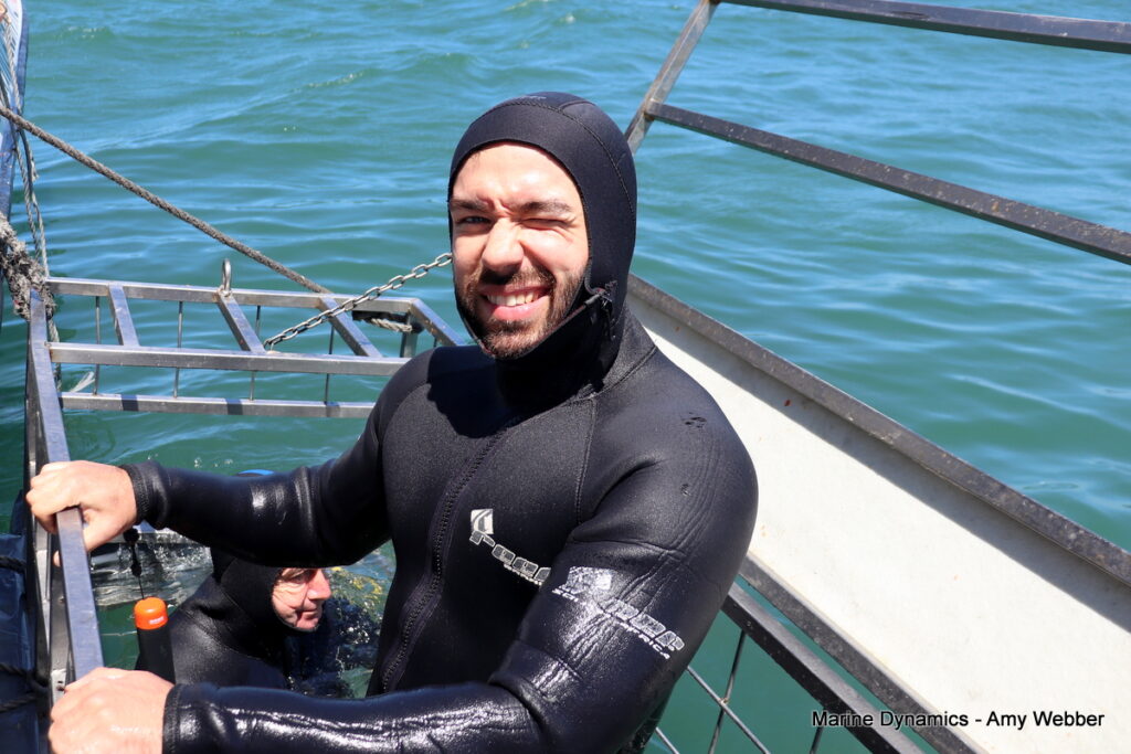 Shark cage diving, Gansbaai, South Africa