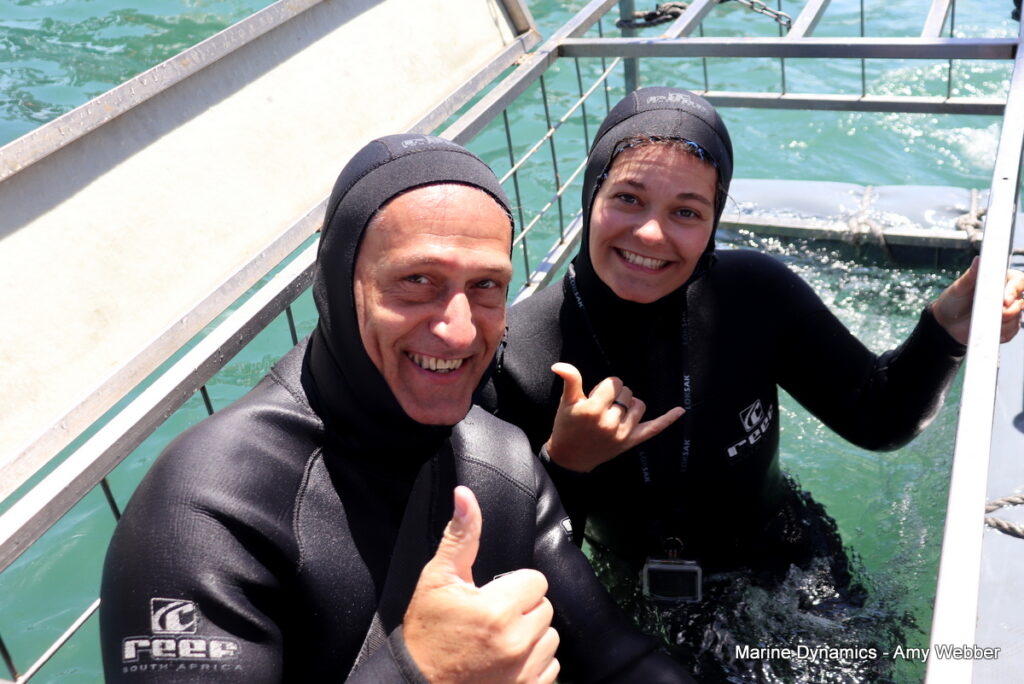 Shark cage diving, Gansbaai, South Africa