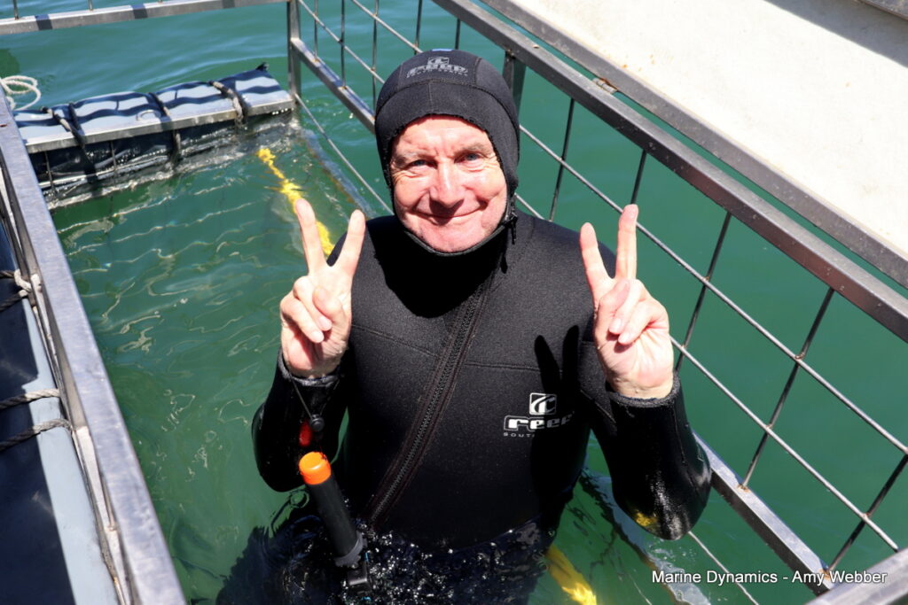 Shark cage diving, Gansbaai, South Africa