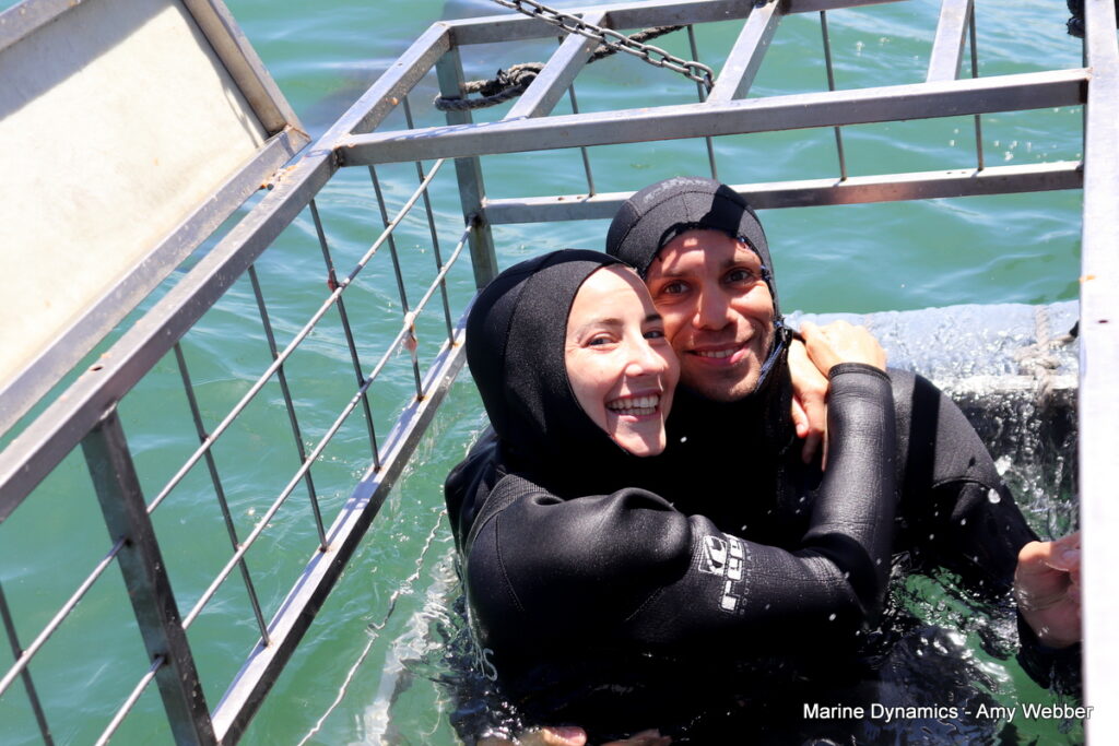 Shark cage diving, Gansbaai, South Africa