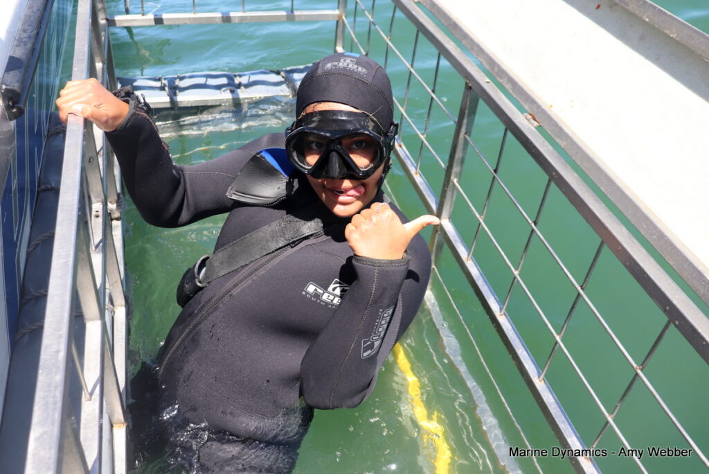 Shark cage diving, Gansbaai, South Africa