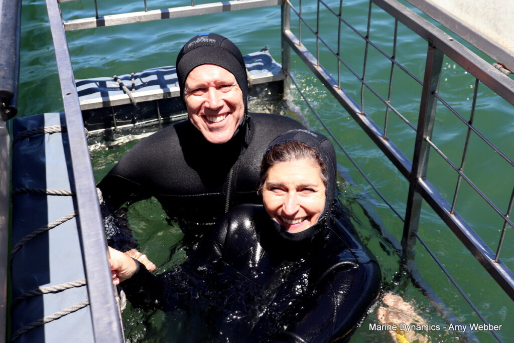 Shark cage diving, Gansbaai, South Africa