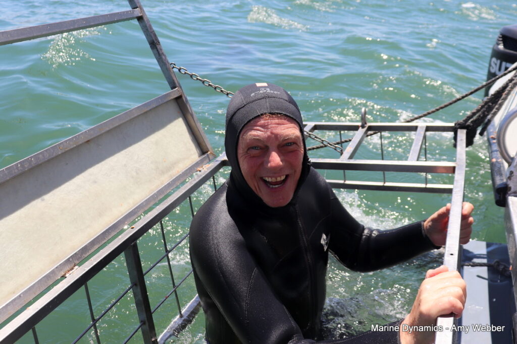 Shark cage diving, Gansbaai, South Africa