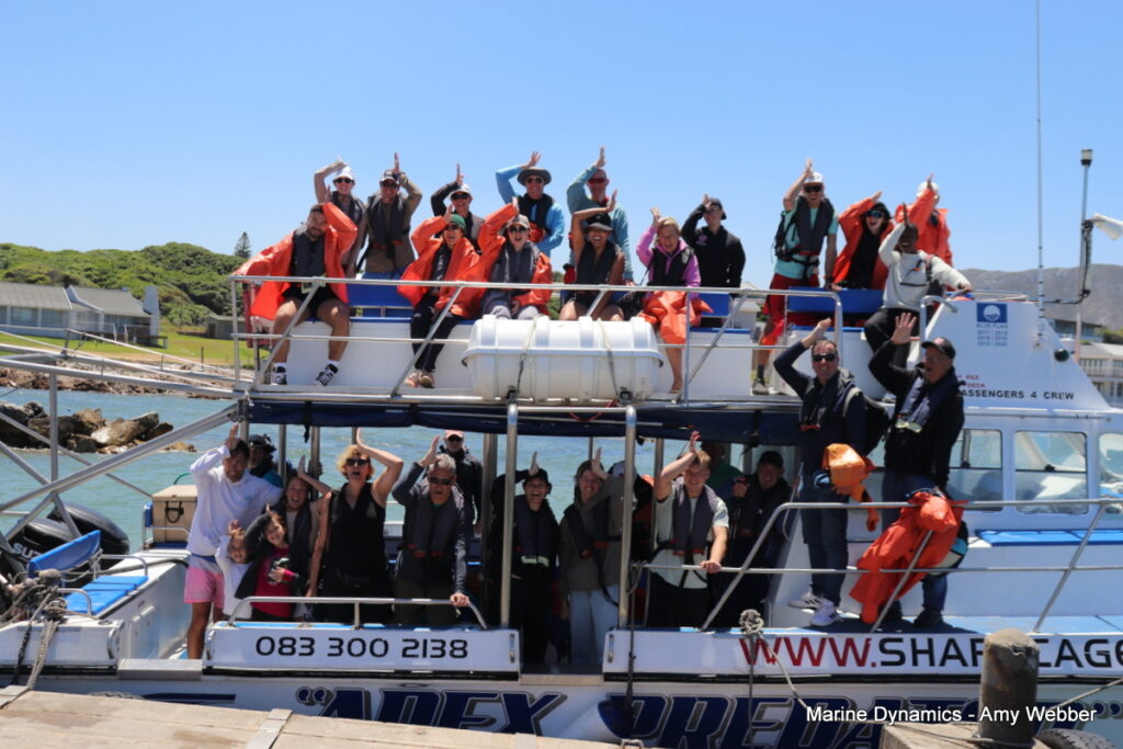 Shark cage diving, Gansbaai, South Africa