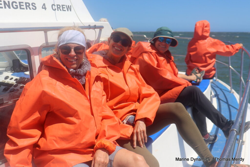 Shark cage diving, South Africa, Gansbaai