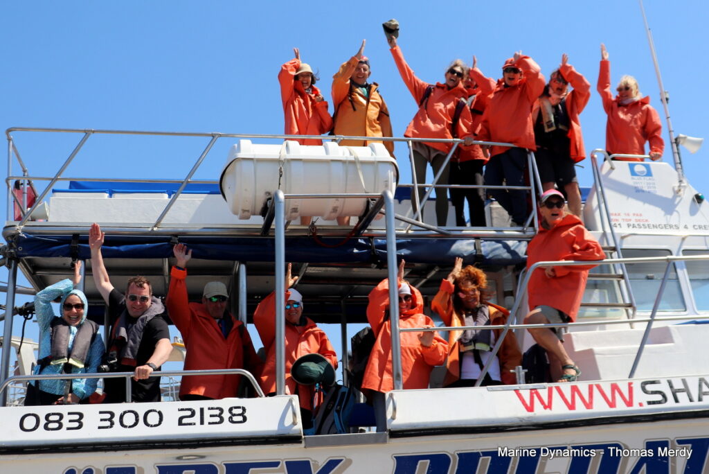 Shark cage diving, South Africa, Gansbaai