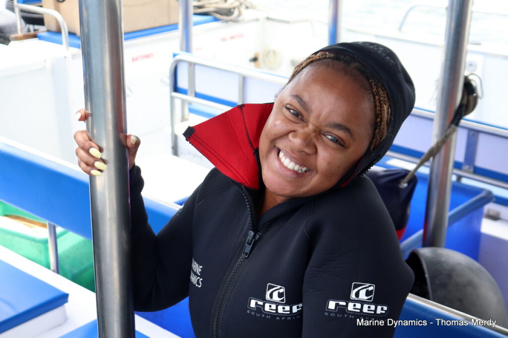 Shark cage diving, South Africa, Gansbaai