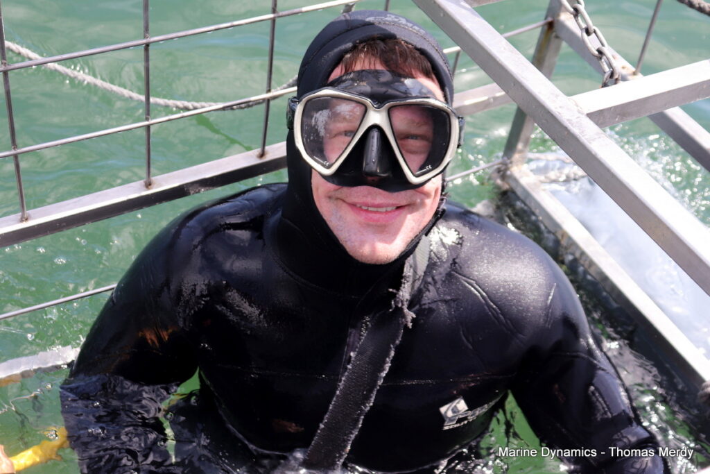 Shark cage diving, South Africa, Gansbaai