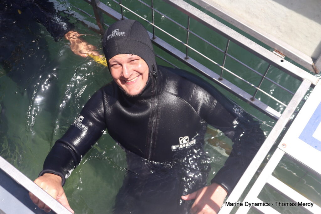 Shark cage diving, South Africa, Gansbaai