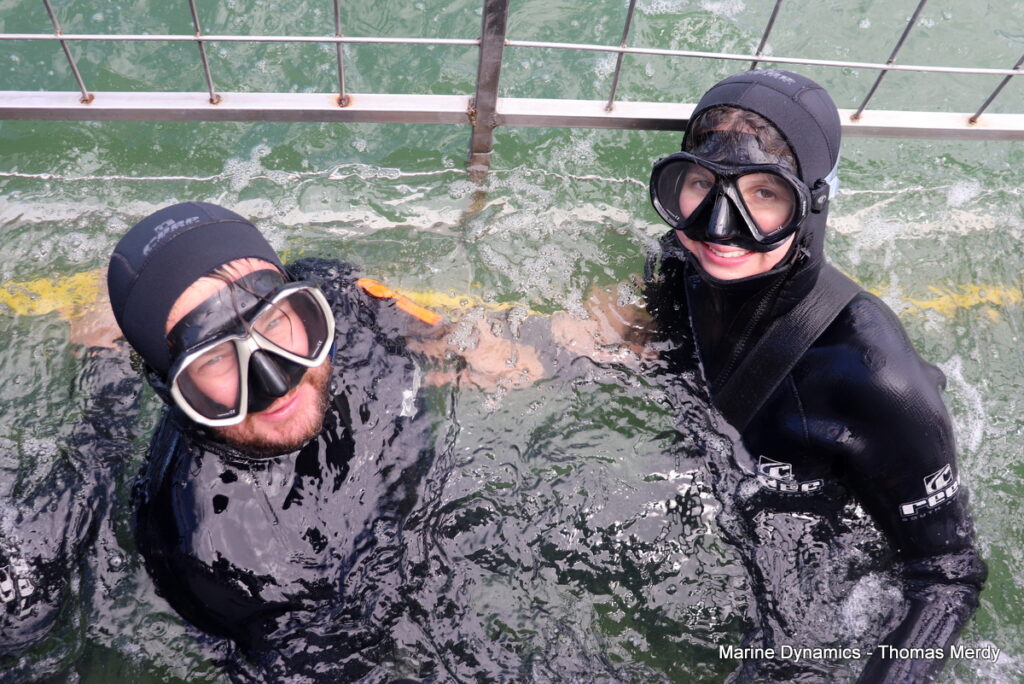Shark cage diving, South Africa, Gansbaai