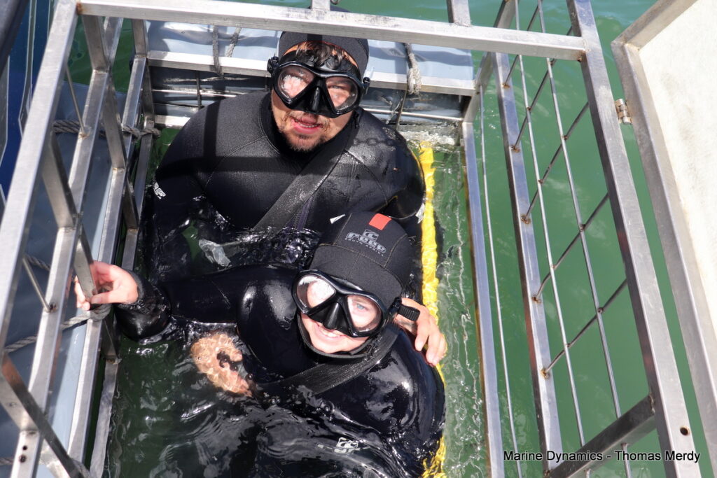 Shark cage diving, South Africa, Gansbaai