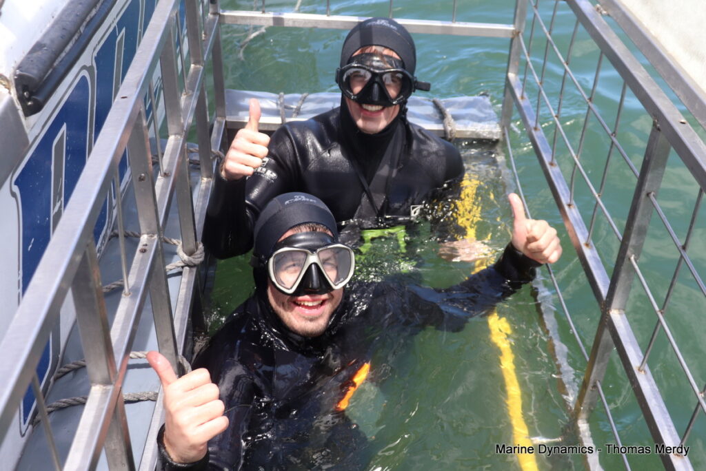 Shark cage diving, South Africa, Gansbaai