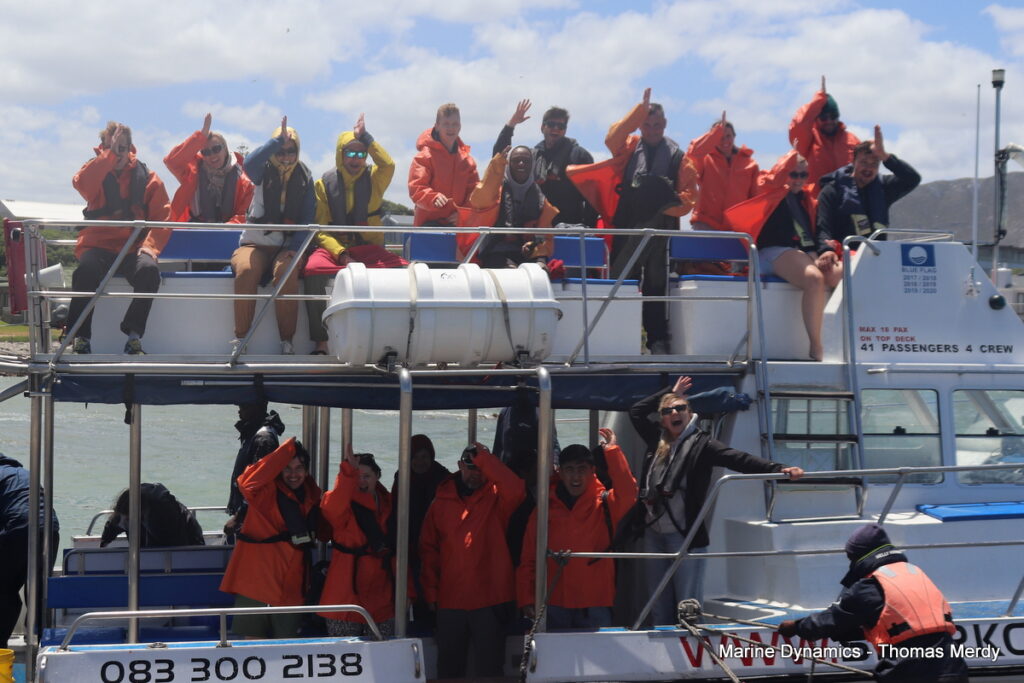Shark cage diving, South Africa, Gansbaai