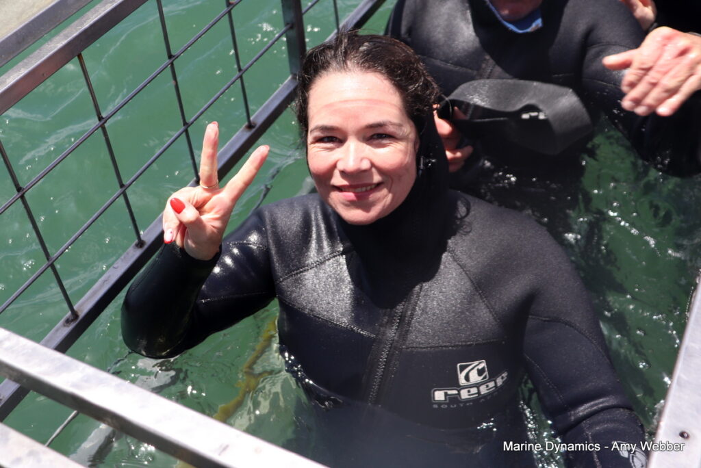 Shark cage diving, South Africa, Gansbaai