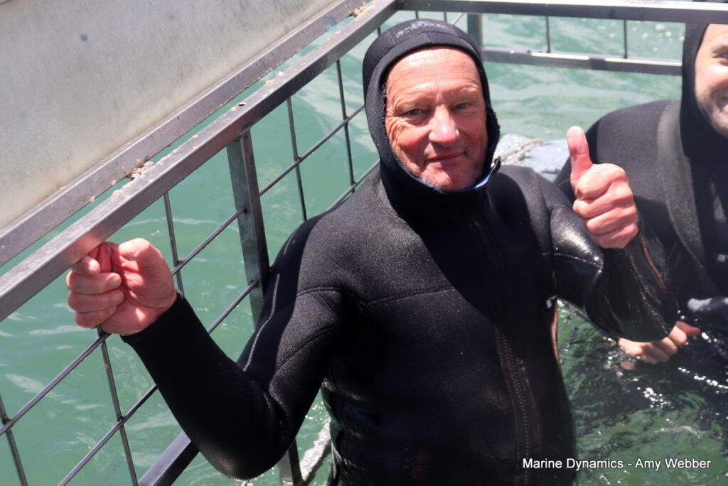 Shark cage diving, South Africa, Gansbaai