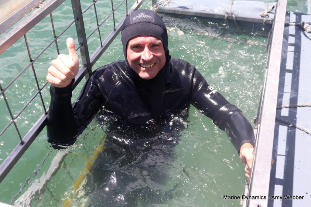 Shark cage diving, South Africa, Gansbaai