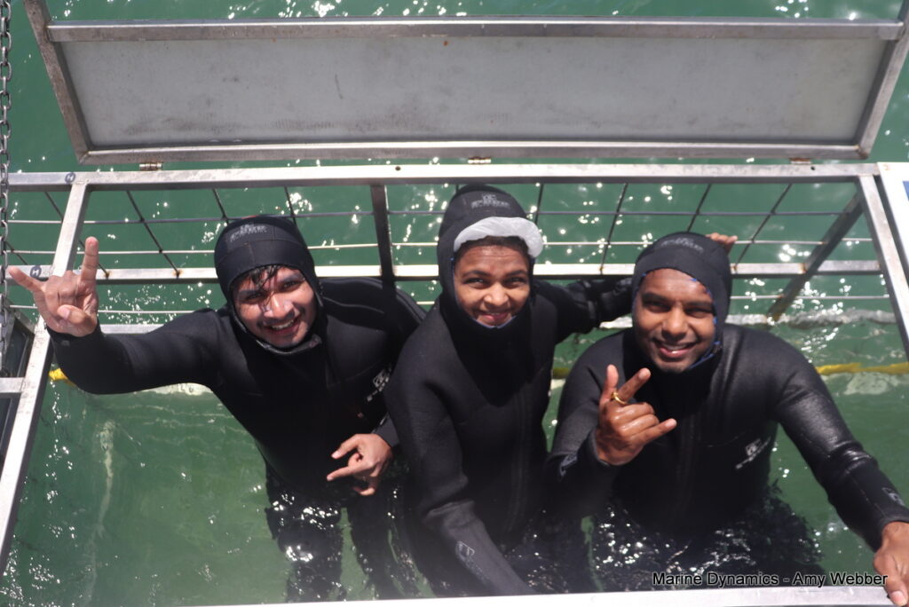 Shark cage diving, South Africa, Gansbaai