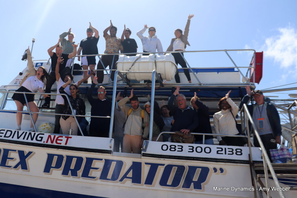 Shark cage diving, South Africa, Gansbaai
