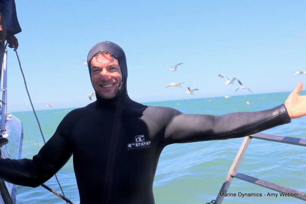 Shark cage diving, Gansbaai, South Africa