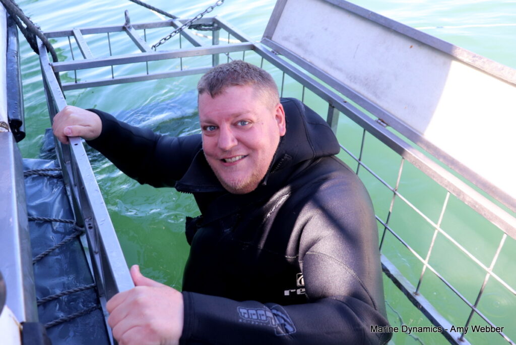 Shark cage diving, Gansbaai, South Africa