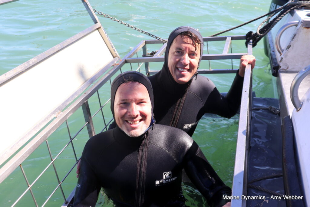 Shark cage diving, Gansbaai, South Africa