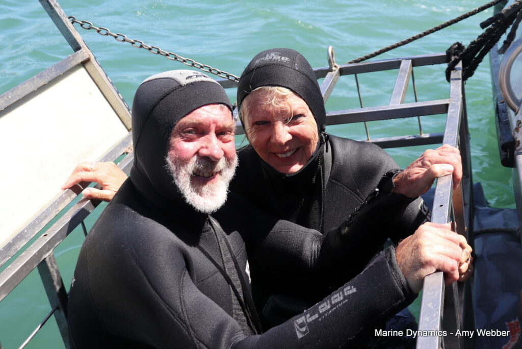 Shark cage diving, Gansbaai, South Africa