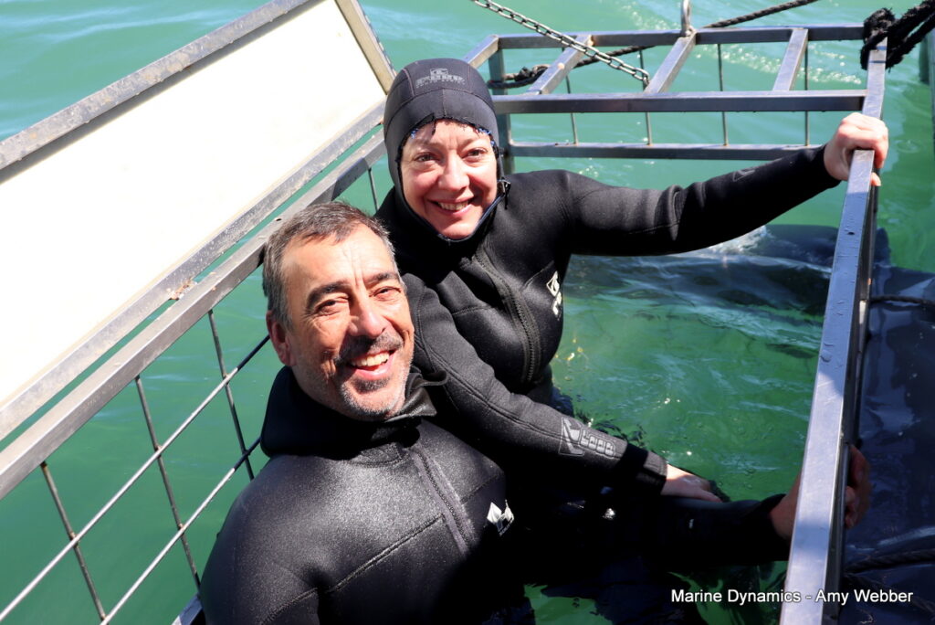 Shark cage diving, Gansbaai, South Africa