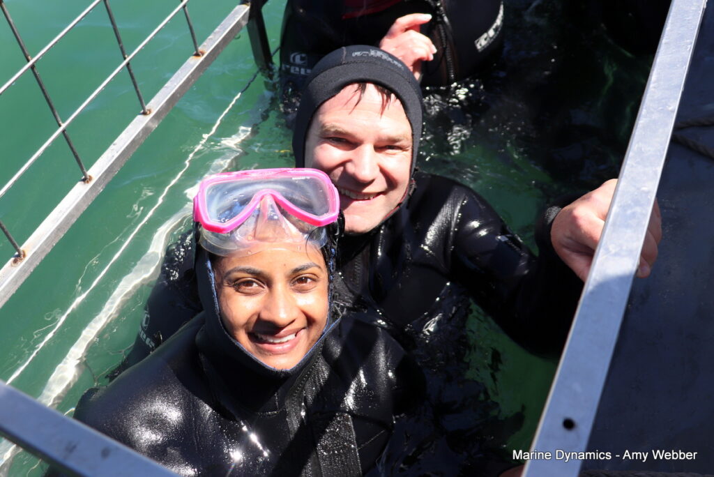 Shark cage diving, Gansbaai, South Africa