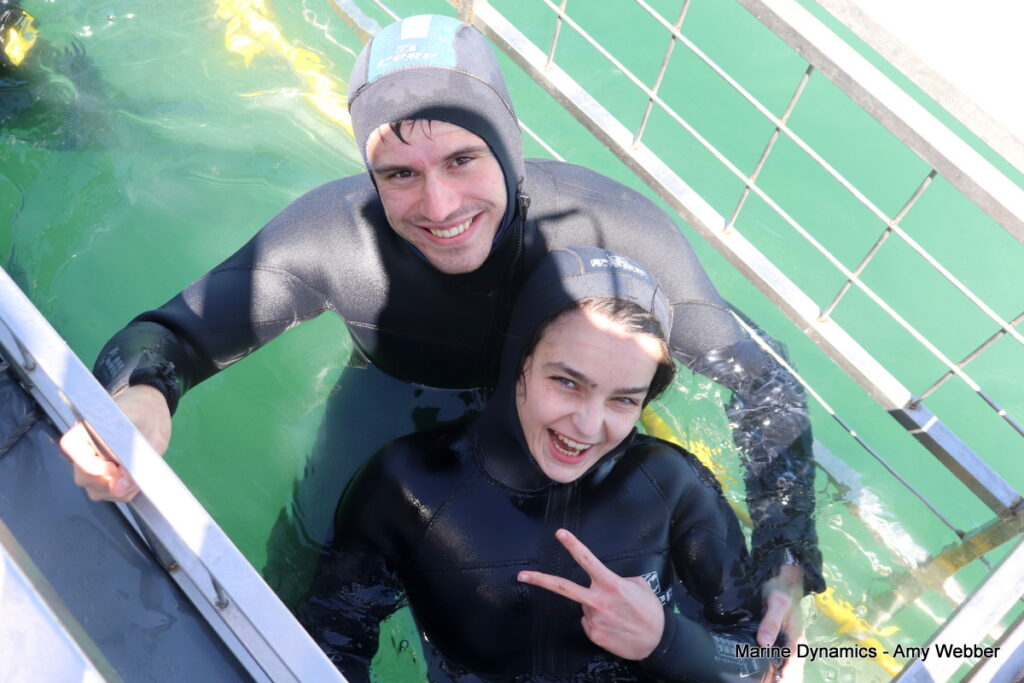 Shark cage diving, Gansbaai, South Africa