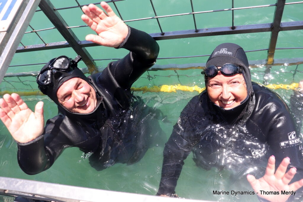 Shark cage diving, South Africa, Gansbaai